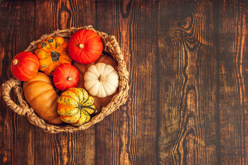 Basket with different varieties of pumpkin on a wooden background