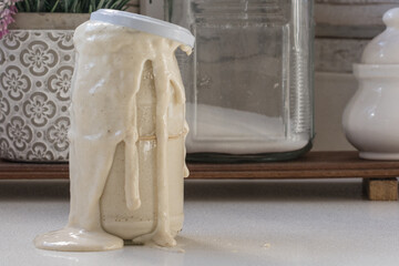 Sourdough, a symbiotic culture of yeasts naturally present in food. Ideal for making homemade bread and pizza without using other yeast