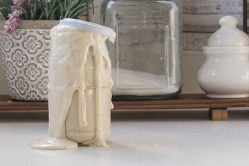 Sourdough, a symbiotic culture of yeasts naturally present in food. Ideal for making homemade bread and pizza without using other yeast