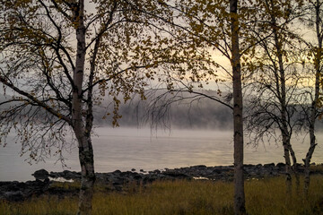 Morgennebel an finnischem See