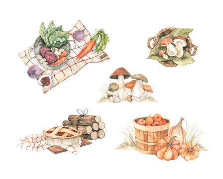 Watercolor Autumn harvest illustrations with pumpkins, mushrooms basket, vegetables, apple harvest and apple pie. Fall elements. Perfect for invitations, greeting posters, prints, social media