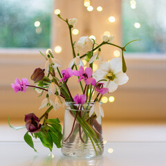 small bouquet of hellebore and snowdrops in glass pot with bokeh