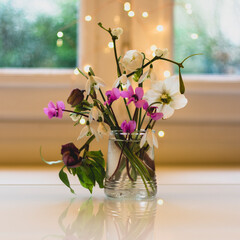 Snowdrops and Hellebores with Fairy Lights.