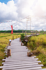 Wood bridge with rice field, Agriculture, paddy, with sky and cloud
