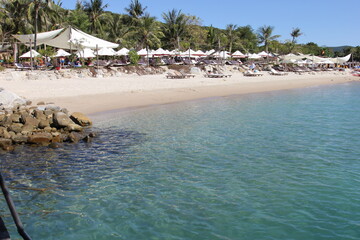 beach with trees vietnam