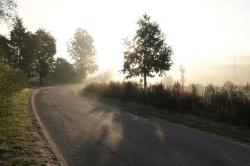 The winding road between trees in the morning mist. Silhouette of car on the road.
