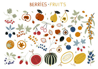 Autumn harvest with garden fruits and berries. Forest berry. Sweet fruit. Flat style, vector illustration. Doodle fruits. Vegan kitchen apple hand drawn, organic fruits or vegetarian food.