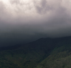 Landscare Cordillera Central, Dominican Republic