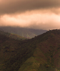 Landscare Cordillera Central, Dominican Republic