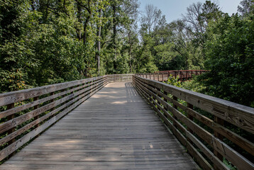 Walkway into the Unknown