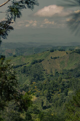 Landscare Cordillera Central, Dominican Republic