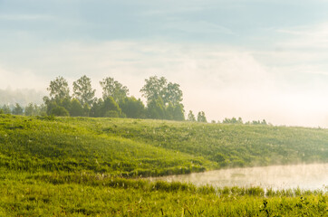 Obraz premium thick morning fog in the summer forest near the reservoir