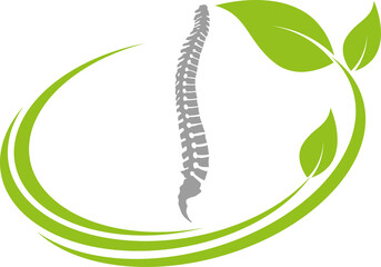 Rücken, Wirbelsäule, Blätter, Orthopädie, Massage, Logo
