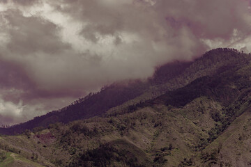 Landscare Cordillera Central, Dominican Republic