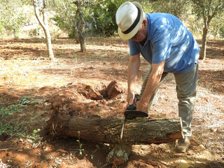 old man chopping wood