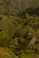 Landscare Cordillera Central, Dominican Republic