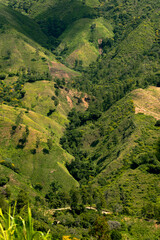 Landscare Cordillera Central, Dominican Republic