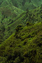 Landscare Cordillera Central, Dominican Republic