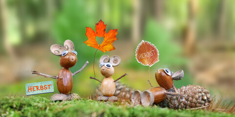 Herbst im Wald