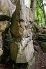 Face from dinosour naturally caved in standstone in the forest