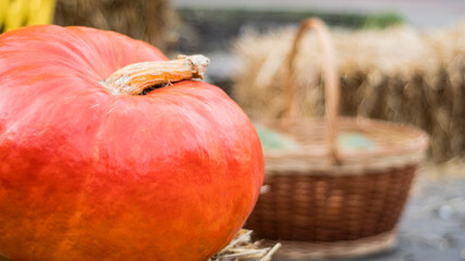 Large orange pumpkin and basket on a straw. Thanksgiving day background. Close up. Soft focus