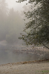 lake covered in thick early morning fog