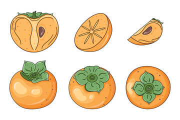 Set of cute hand drawn whole, half, quarter and cut fresh persimmon fruits isolated on white background. Vector graphic elements for package, label, wrapping paper, cards, print, banner, advertising.