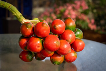 Pupunha - Amazon Fruit - Region Coffee - Food Amazon