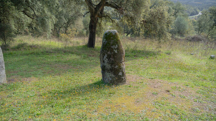 Big megalithic menhirs of sorgono , sardinia central - prenuragic
