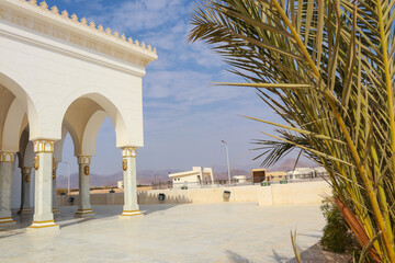 Fototapeta premium Beautiful egyptian landscape.. Palms and flowers