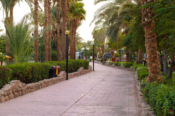 Beautiful egyptian landscape.. Palms and flowers