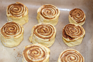 Rolled cinnamon dough on a baking sheet in the oven.
