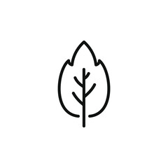 Leaf line icon. Nature symbol concept isolated on white background. Vector illustration