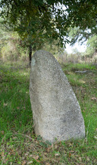 Big megalithic menhirs of sorgono , sardinia central - prenuragic

