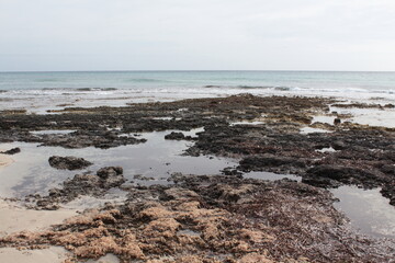 Fototapeta na wymiar Son Bou beach in Menorca, Spain