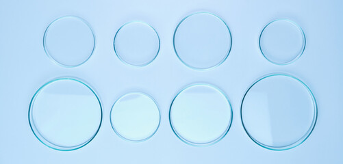 Different size Petri dishes for biochemical analysis on the blue background
