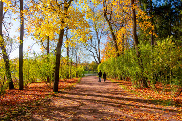 Autumn foliage in Catherine park, Tsarskoe Selo (Pushkin), St. Petersburg, Russia