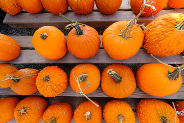 Pumkpins for sale at a roadside stand