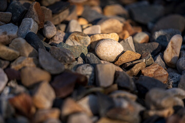 Surrounded by gravel and rocks, a single round white rock glows in a pool of late afternoon sunlight.