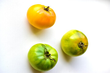 Three yellow and green tomatoes on a white background