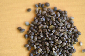 CBD seeds in orange cloth background.