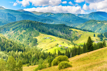 Sunny meadow with small rural houses and forest on blue mountain