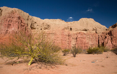 The red canyon. View of the arid valley, desert flora, red and orange sandstone, rock formations and mountains under a blue sky.