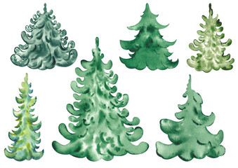 Set of watercolor evergreen forest trees.