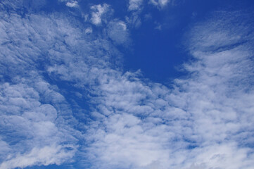 Obraz premium 青空と白い雲