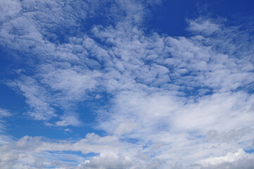 青空と白い雲