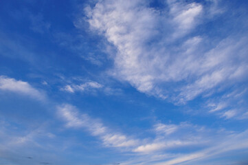 Fototapeta premium 青空と白い雲