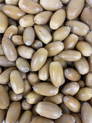 The oak needs but an acorn