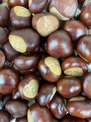 close up of chestnuts