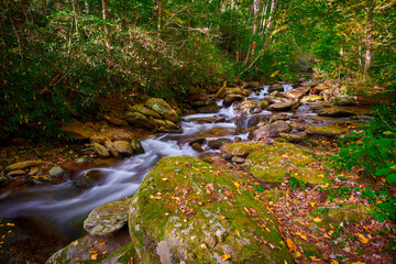 Curtis Creek near Curtis Creek Campground in the mountians of North Carolina.